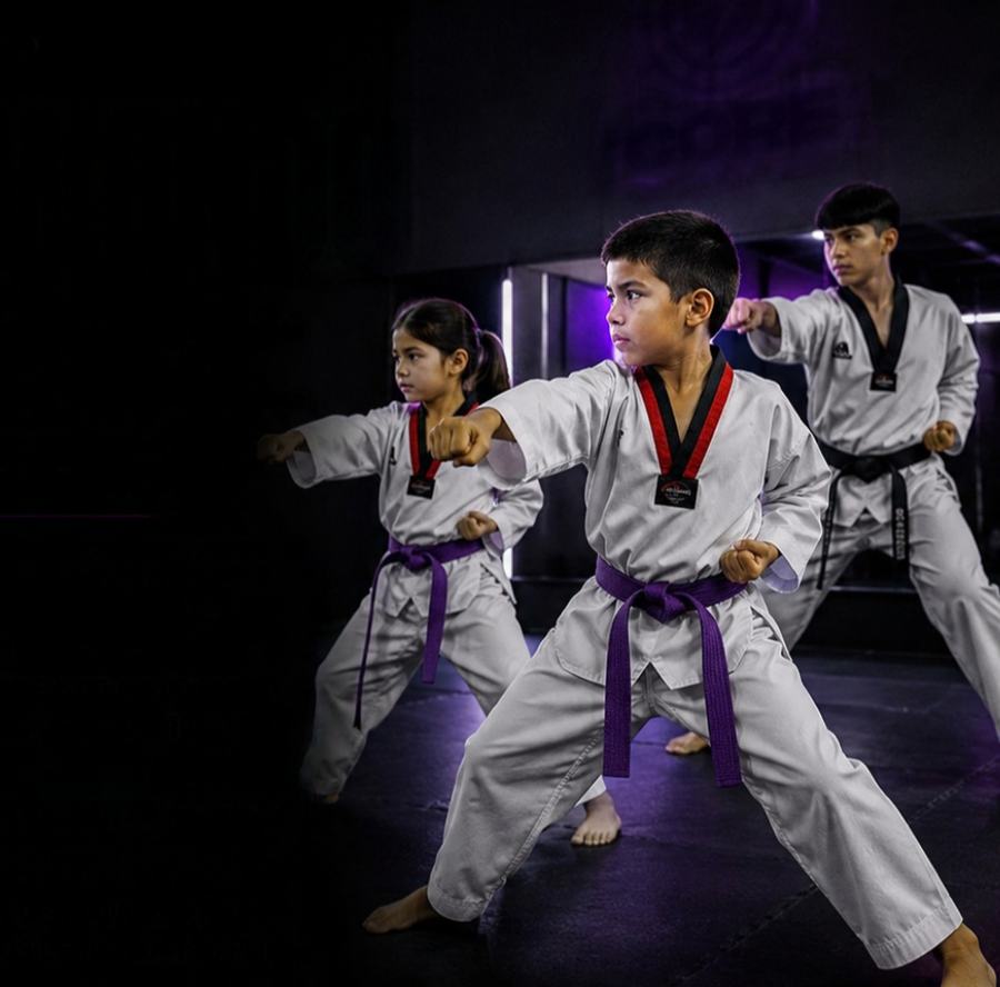 Taekwondo en Core Gym